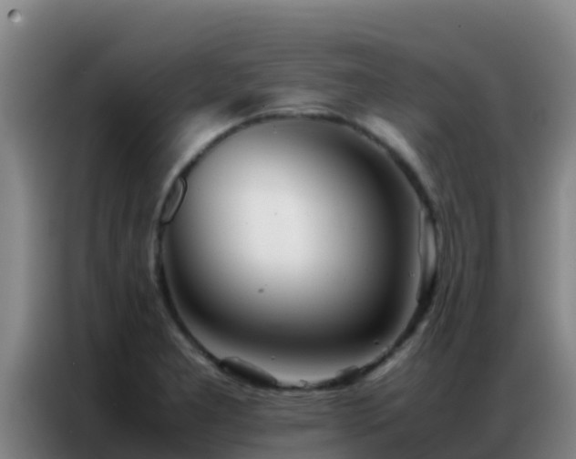 X0000086791277200704201836