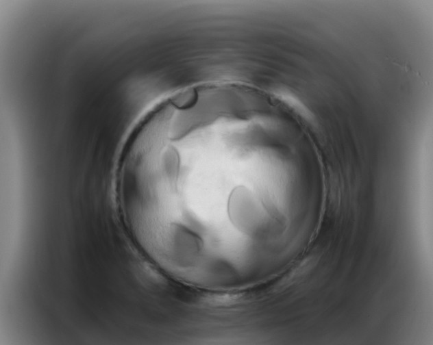 X0000086791278200704201836