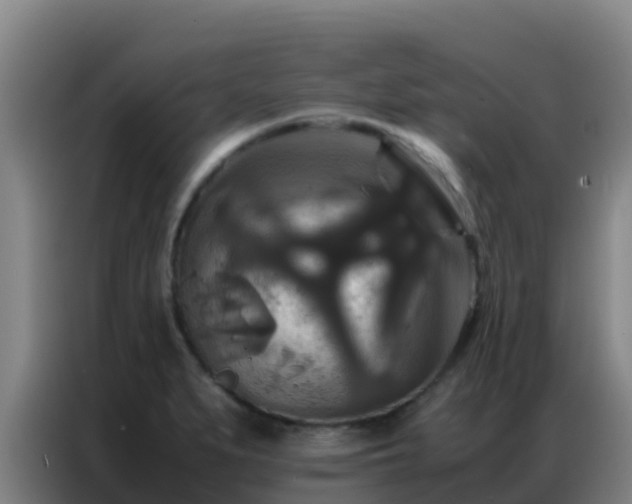 X0000086791279200704201836