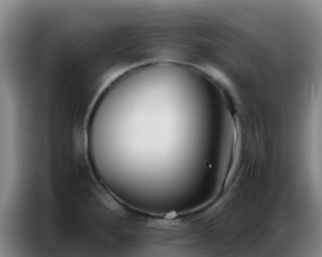 X0000086791280200704201836
