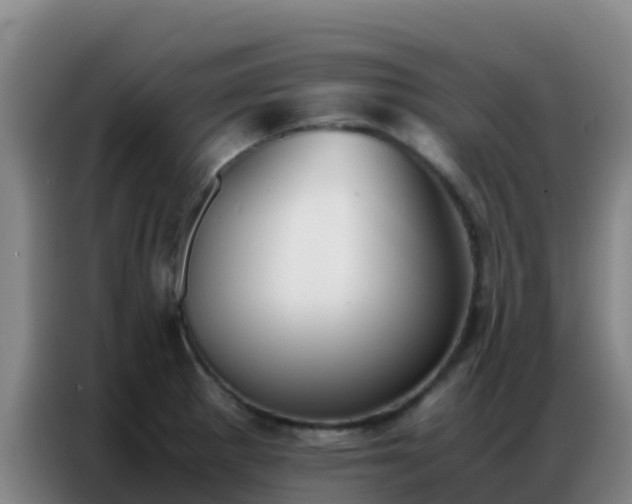 X0000086791281200704201836