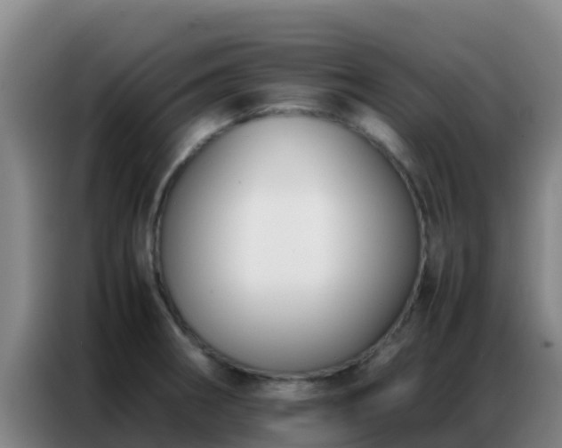 X0000086791282200704201836