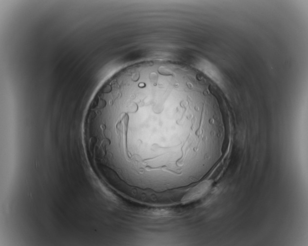 X0000086791283200704201836
