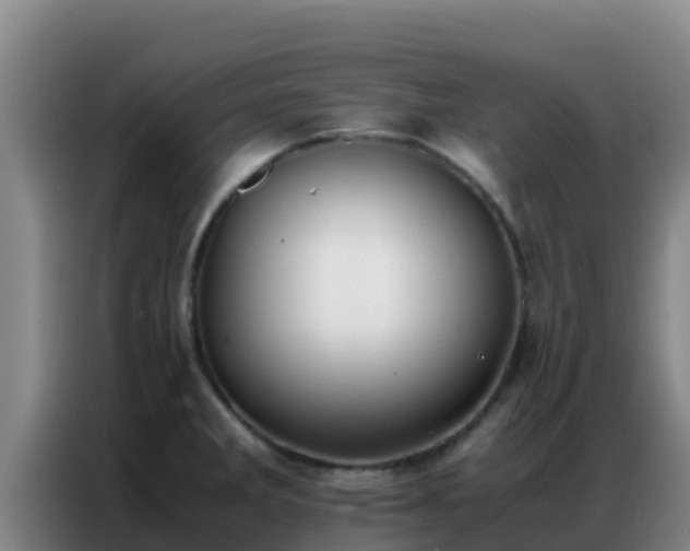 X0000086791285200704201836