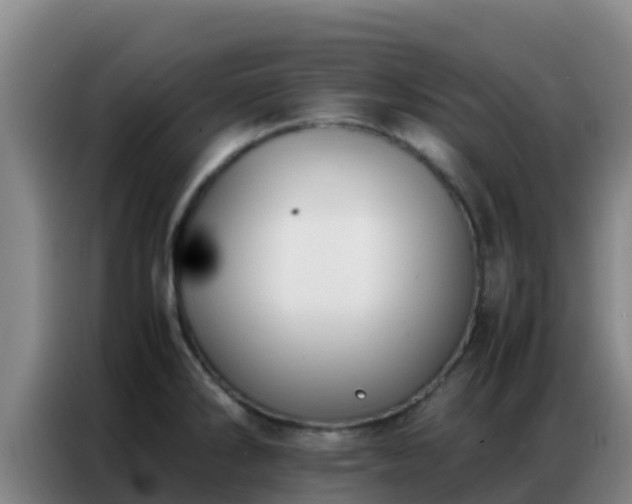 X0000086791286200704201836