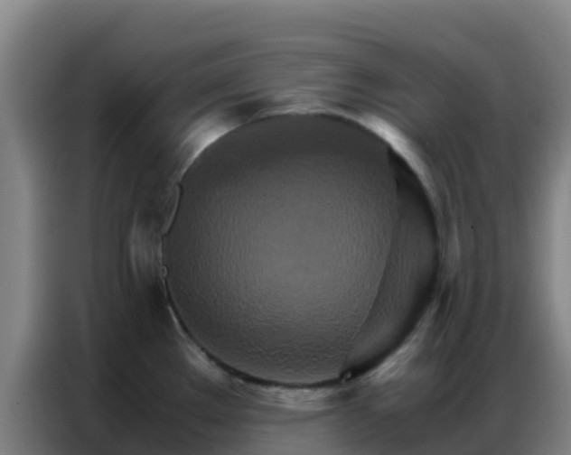 X0000086791289200704201836