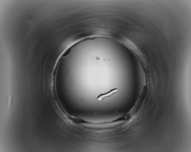 X0000086791292200704201836