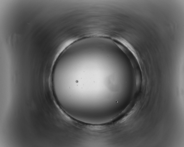 X0000086791293200704201836