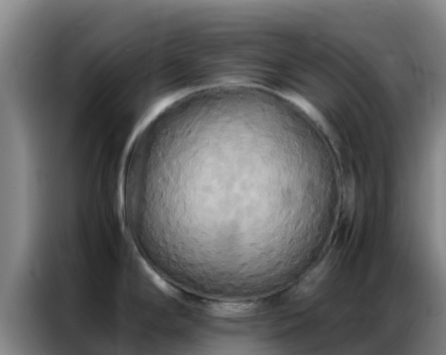 X0000086791294200704201836