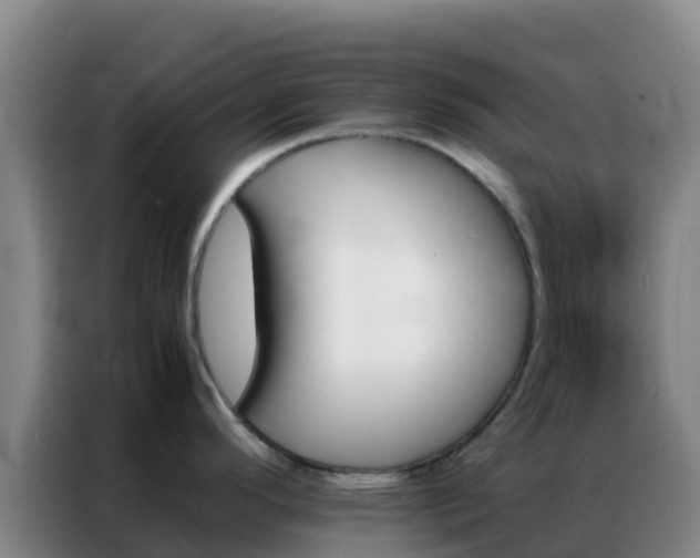 X0000086791296200704201836