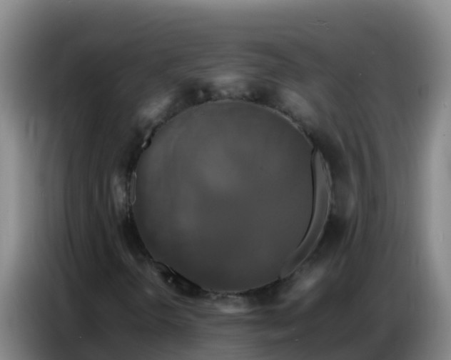 X0000086791298200704201836