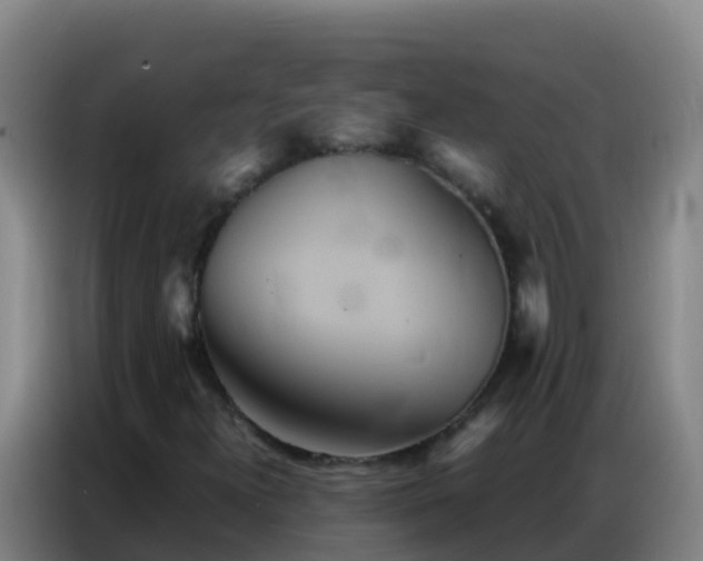 X0000086791300200704201836