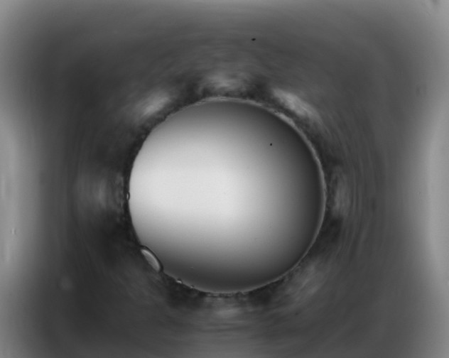 X0000086791301200704201836