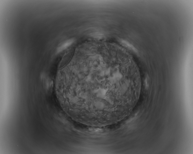 X0000086791302200704201836