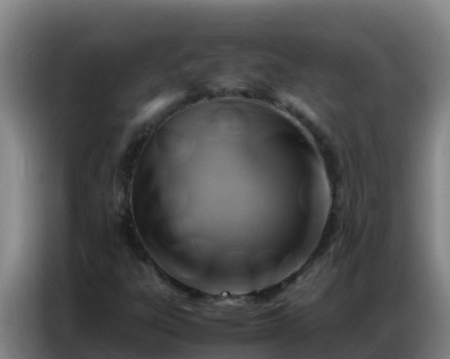 X0000086791303200704201836