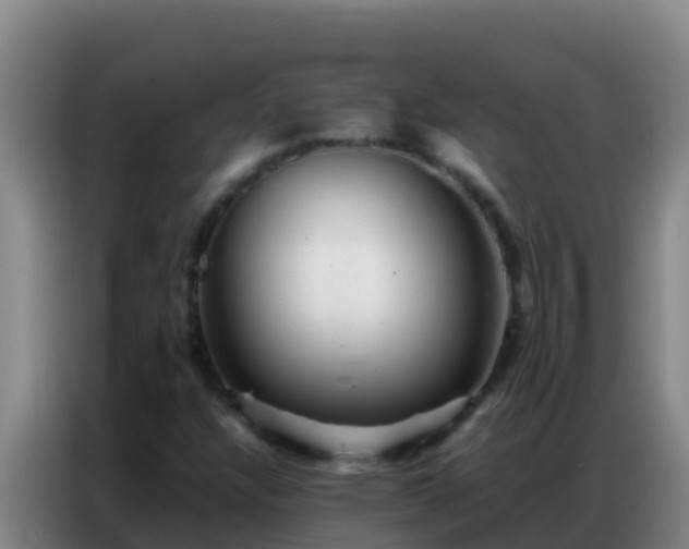 X0000086791304200704201836