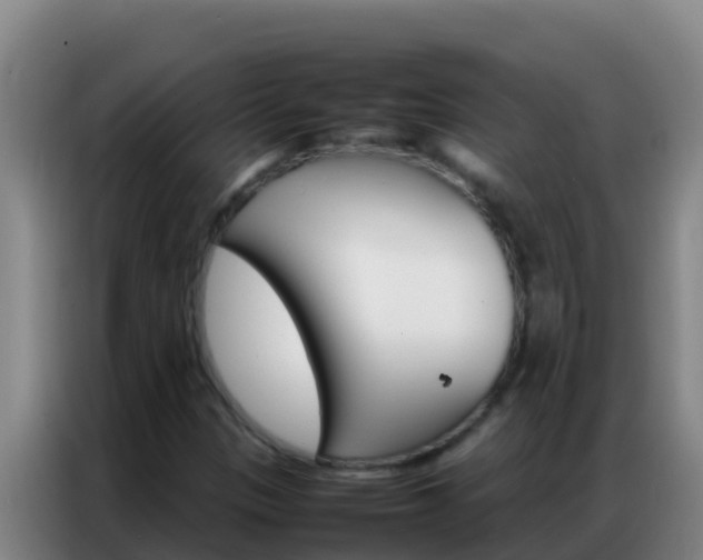 X0000086791305200704201836