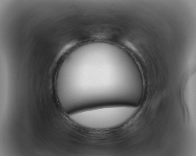 X0000086791307200704201836
