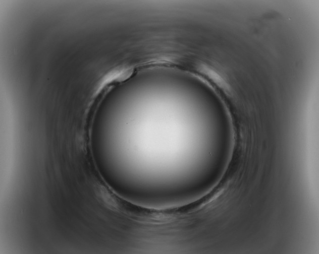 X0000086791308200704201836