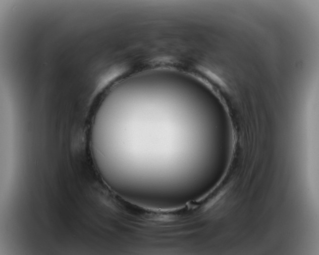X0000086791309200704201836
