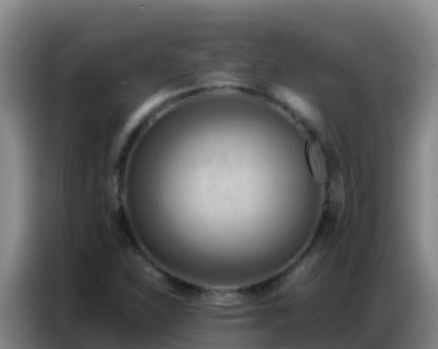 X0000086791310200704201836