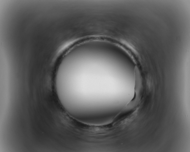 X0000086791311200704201836