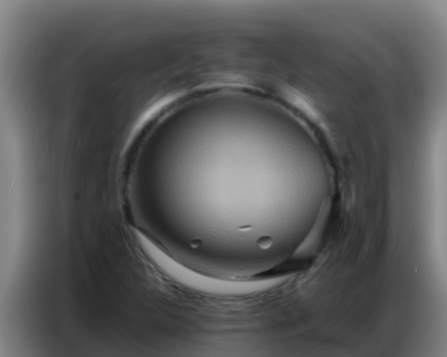 X0000086791312200704201836