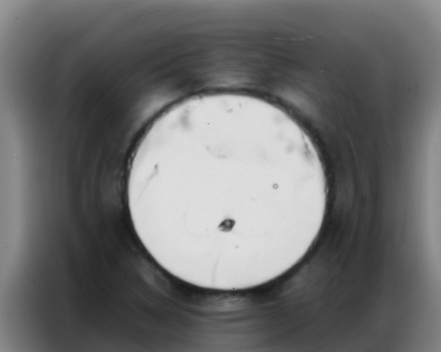 X0000086791314200704201836