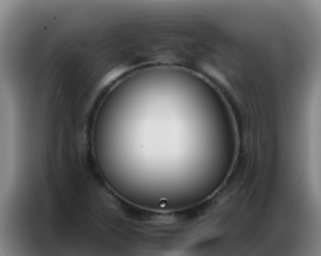 X0000086791315200704201836
