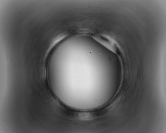 X0000086791317200704201836