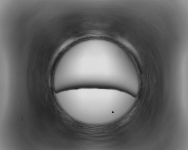 X0000086791318200704201836