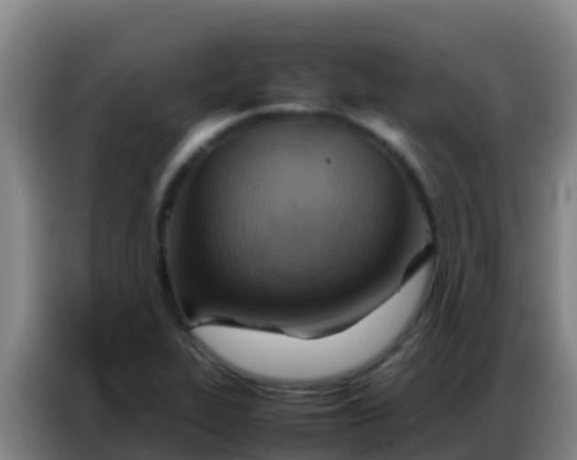 X0000086791319200704201836