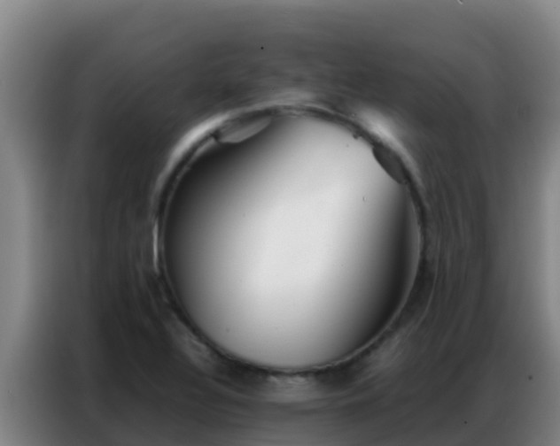 X0000086791320200704201836