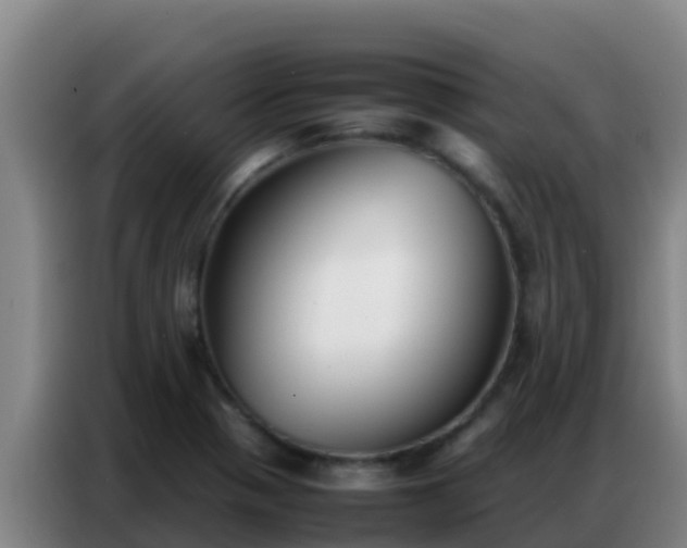 X0000086791321200704201836