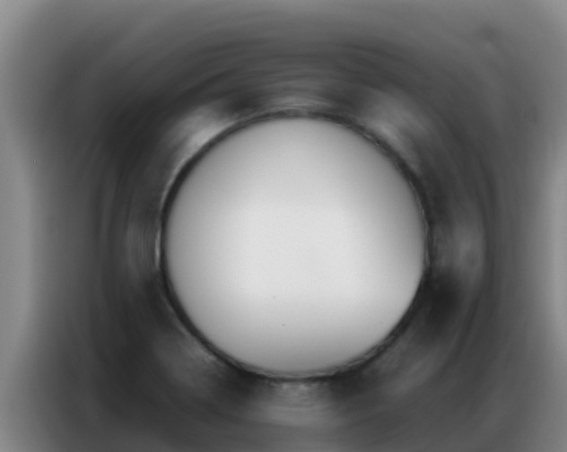 X0000086791322200704201836