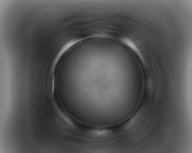 X0000086791323200704201836