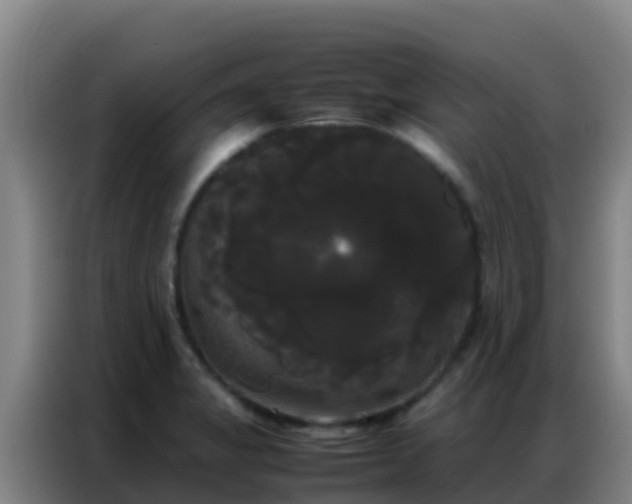 X0000086791325200704201836