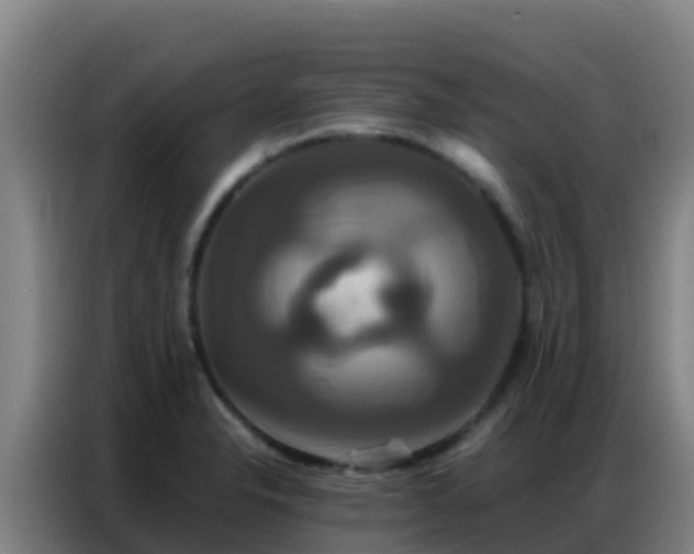 X0000086791326200704201836