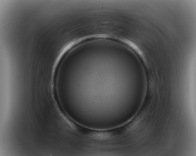X0000086791327200704201836