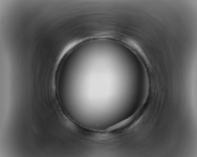 X0000086791328200704201836