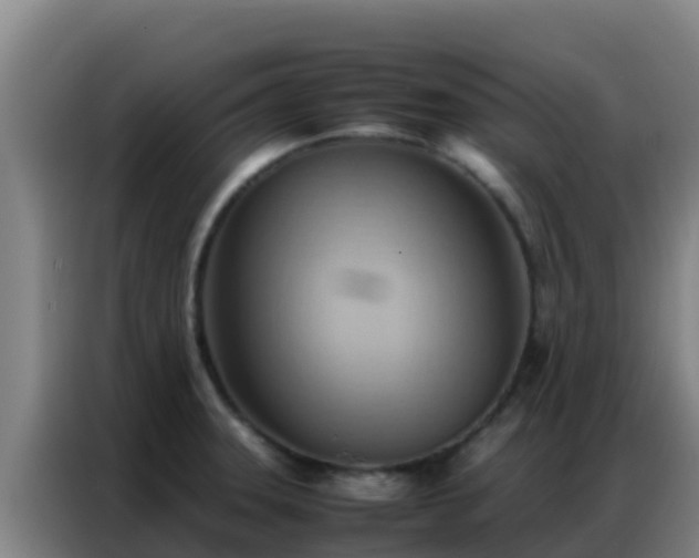 X0000086791331200704201836