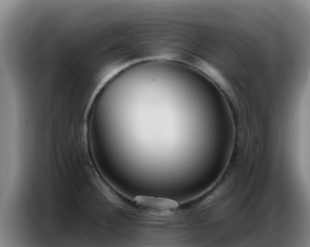 X0000086791332200704201836