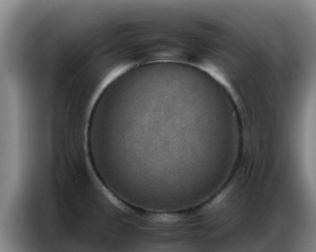 X0000086791333200704201836