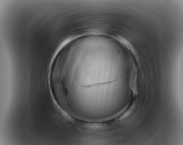 X0000086791334200704201836