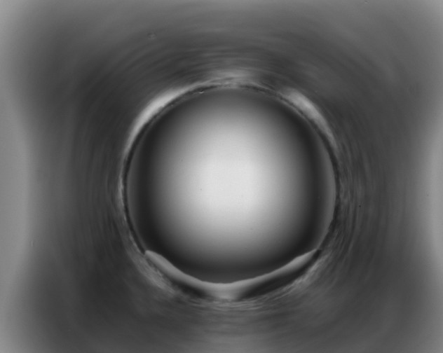 X0000086791336200704201836