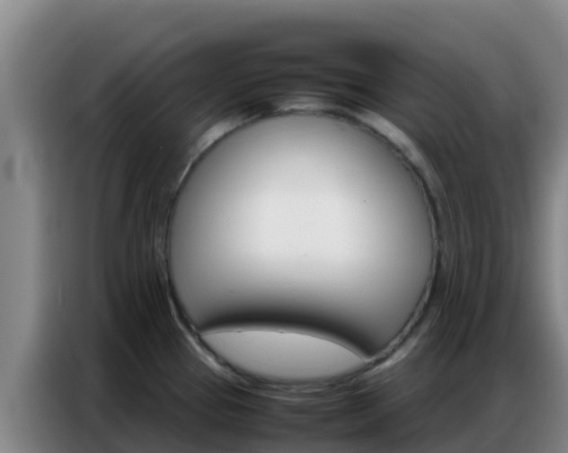 X0000086791337200704201836