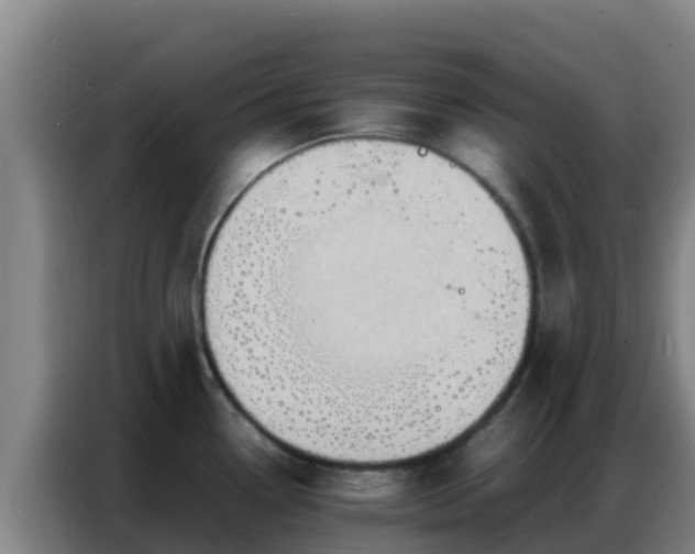 X0000086791338200704201836