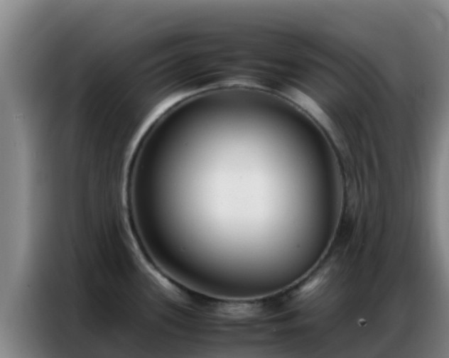 X0000086791339200704201836