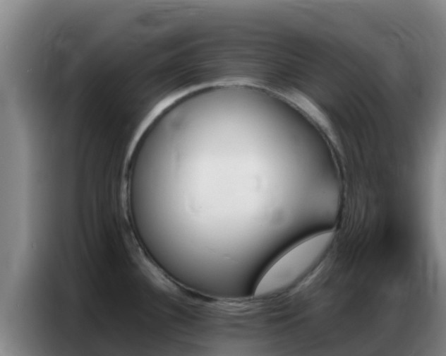 X0000086791340200704201836