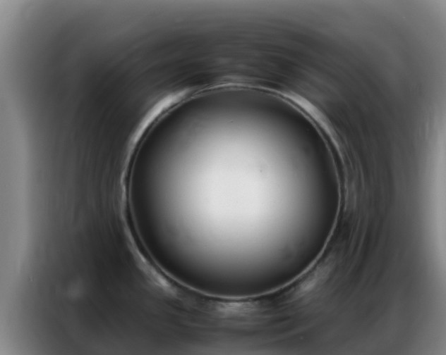 X0000086791341200704201836
